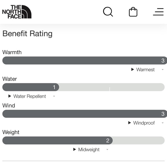 The North Face Retro Nuptese puffer - Picture 11 of 11